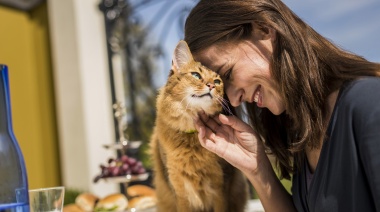 ¿Por qué mantener a tu gato desparasitado?