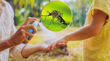 Dengue: llegan a 269 mil los casos en la temporada y ya son cerca de 200 los fallecidos