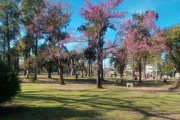 Parque Domínico: el pulmón de los recuerdos