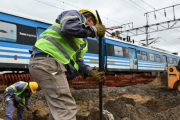 Servicios especiales del Tren Roca: dónde están y en qué horarios funcionan