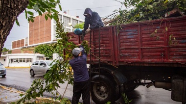 Importantes operativos de limpieza integral en Quilmes Oeste