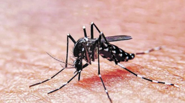 Cómo detectar los síntomas del dengue grave