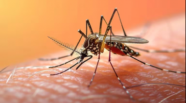 Se registraron más de 7.800 casos positivos de dengue en la provincia de Buenos Aires