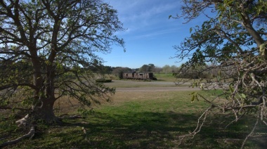 De relleno sanitario a reserva ecológica: la transformación de CEAMSE en Villa Domínico