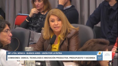 Mónica Litza reconoció la labor de la ciencia argentina en el Congreso