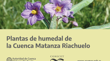 ACUMAR presentó la guía de plantas de humedales de la Cuenca Matanza Riachuelo