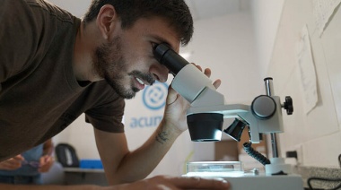 ACUMAR instaló equipamiento para identificar la presencia del mosquito Aedes en la Cuenca