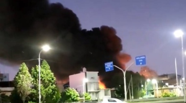 Impresionante incendio de una papelera en Villa Domínico