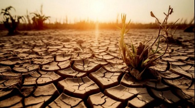 El 50% de los argentinos cree que todavía hay tiempo para frenar el cambio climático