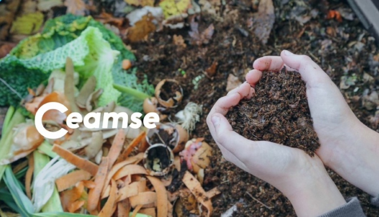 Por qué lo biodegradable no es impacto cero: el análisis de CEAMSE ...