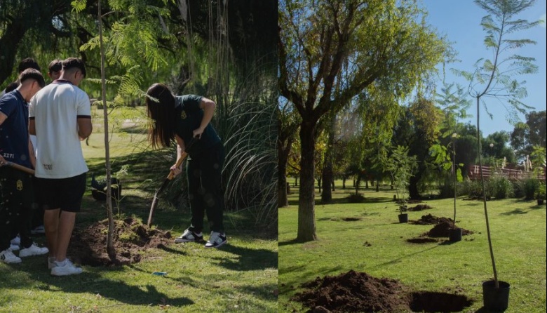 La Cátedra Abierta Laudato Sí lanzó el Programa Forestar