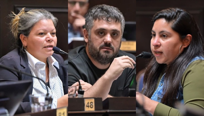 En oposición a Milei, el Kirchnerismo busca limitar la compra de tierras en manos extranjeras en PBA