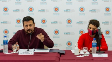 Presentaron en el Senado Bonaerense el proyecto de Ley "Infancias respetadas en las Asociaciones Civiles"