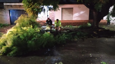 Defensa Civil despliega cinco cuadrillas para contener los efectos del temporal en distintos barrios de Lanús