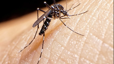 Cuáles son las principales recomendaciones para prevenir el dengue