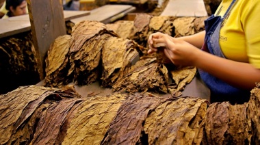 La Corte Suprema revocó una cautelar que beneficiaba a la "Tabacalera Sarandí"