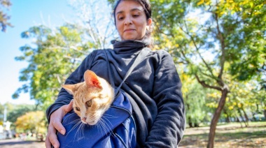 Castración itinerante: Lanús Gobierno anunció turnos presenciales gratuitos