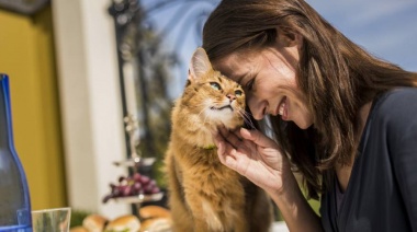 Día Internacional del gato: lo que tenés que saber