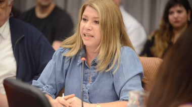 Litza: “Para que haya realmente ‘Ficha Limpia’ deben incorporarse los delitos económicos y las empresas offshore”