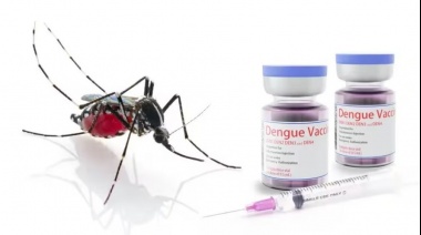 El Gobierno comenzó a distribuir las vacunas contra el dengue