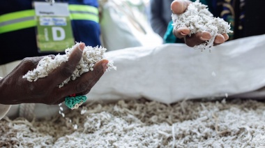 Registro municipal de grandes generadores de residuos sólidos urbanos