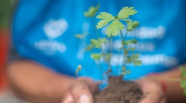 El operativo Ambiente Sí llega a Lanús Este: conocé los detalles