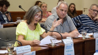 Sesión de fuertes debates y definiciones en el Concejo Deliberante de Avellaneda