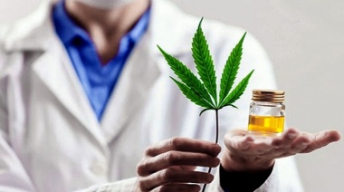 Diplomatura en Cannabis Medicinal y Derechos Humanos