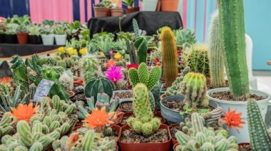 “Ambiente Sí” suma nuevos puntos de reciclado en Lanús