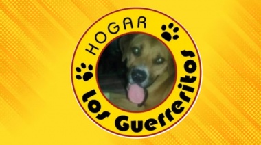 De una promesa a un refugio para perros: La historia de Pedro y "Los Guerreritos"