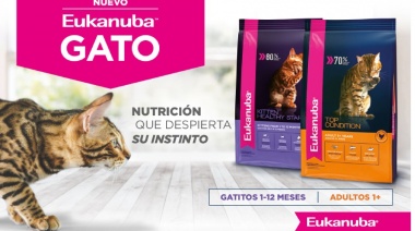Eukanuba despierta el instinto felino con su nueva línea de alimento para gatos en Argentina