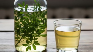 Por qué se toma caña con ruda el 1° de agosto: historia, ritual y receta