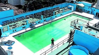 La Justicia ordenó a Racing indemnizar a la familia de Nicolás Pacheco por su asesinato en 2013