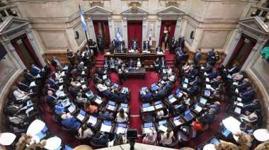 A contramano de la crisis laboral, los senadores cobrarán más de $11 millones desde marzo