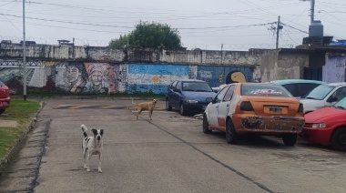 La Tierrita: el barrio que lucha por dejar de ser invisible en Avellaneda