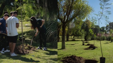 La Cátedra Abierta Laudato Sí lanzó el Programa Forestar