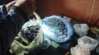 Cuatro detenidos tras dos allanamientos por venta de droga en Avellaneda