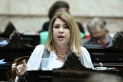 Mónica Litza: "No se puede gobernar de espaldas al Congreso y a puro decreto”