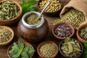 Del burrito al cedrón: los yuyos que transforman el mate y sus beneficios