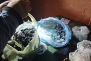 Cuatro detenidos tras dos allanamientos por venta de droga en Avellaneda