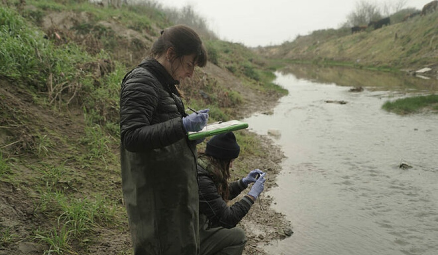 Acumar Riachuelo ACUMAR realizó un nuevo monitoreo de bioindicadores en la Cuenca ...