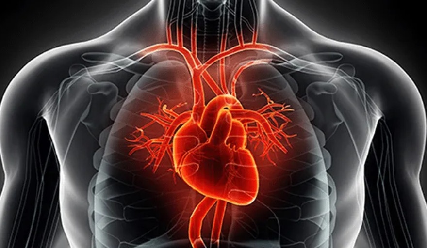 Insuficiencia cardíaca: las ventajas de la atención ambulatoria